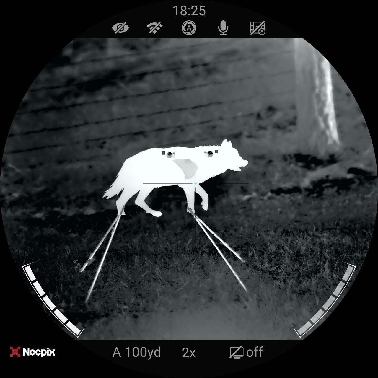 AR500 Steel Coyote Thermal Vital Target