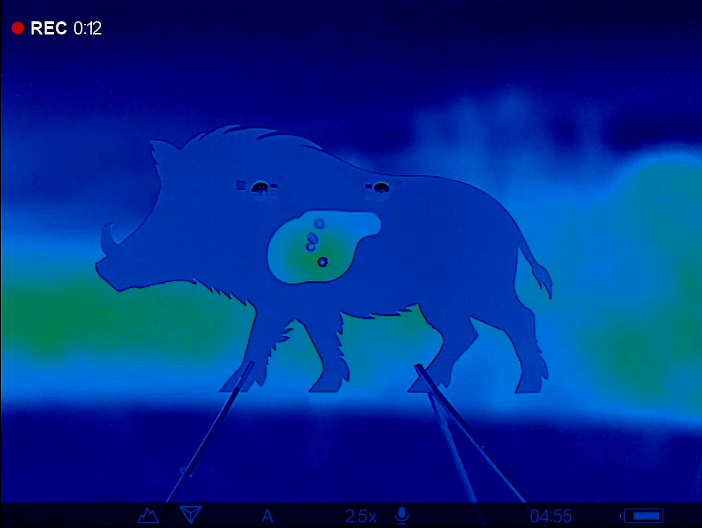 AR500 Steel Wild Boar Thermal Vital Target