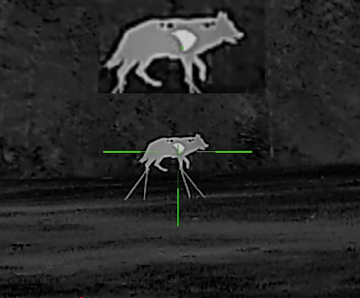 AR500 Steel Coyote Thermal Vital Target